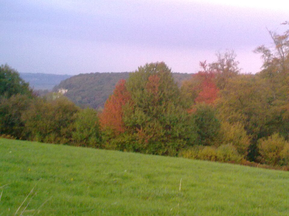 Vue de Fatouville ( — Grestain)