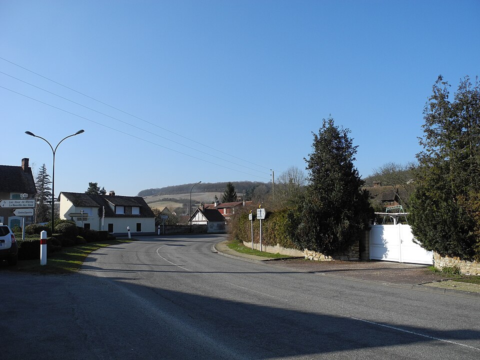 Rue merey