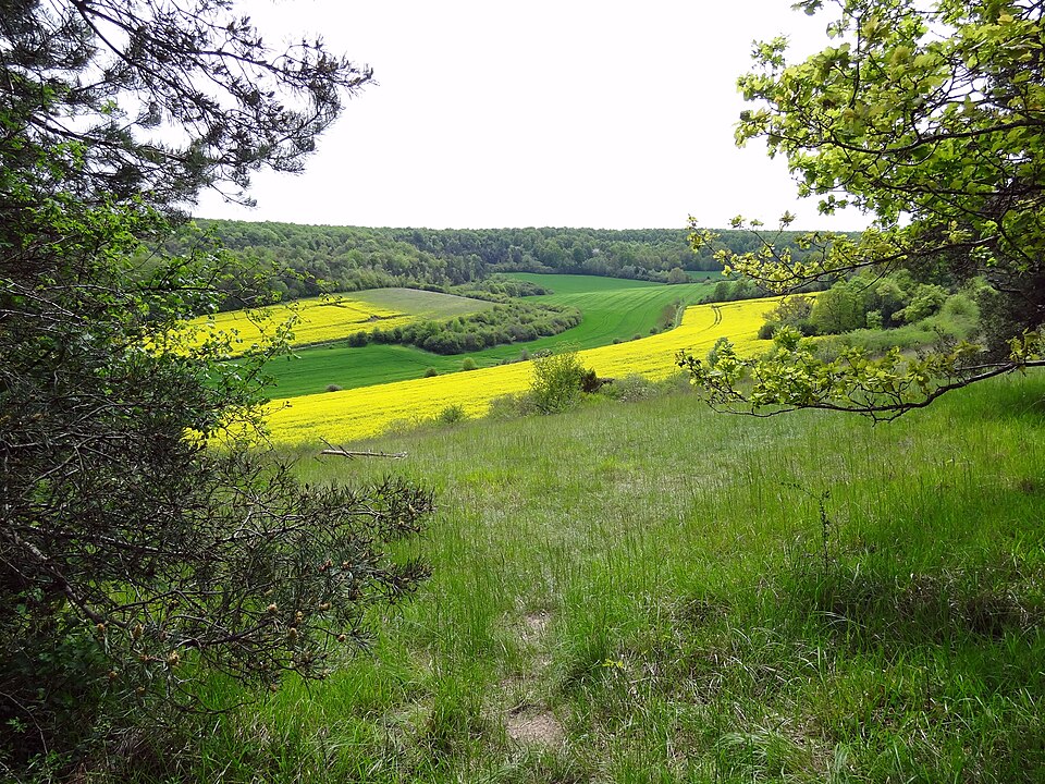 RNR de la vallée des Cailles — WLE 2016 — 033