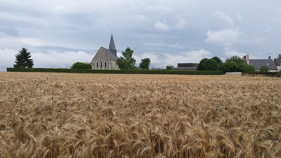 L'église Notre — Dame de Conie — molitard