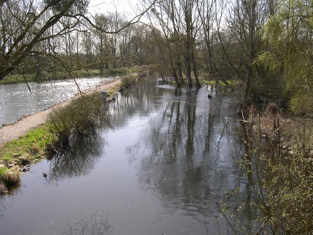 Conie la chenardiere nottonville