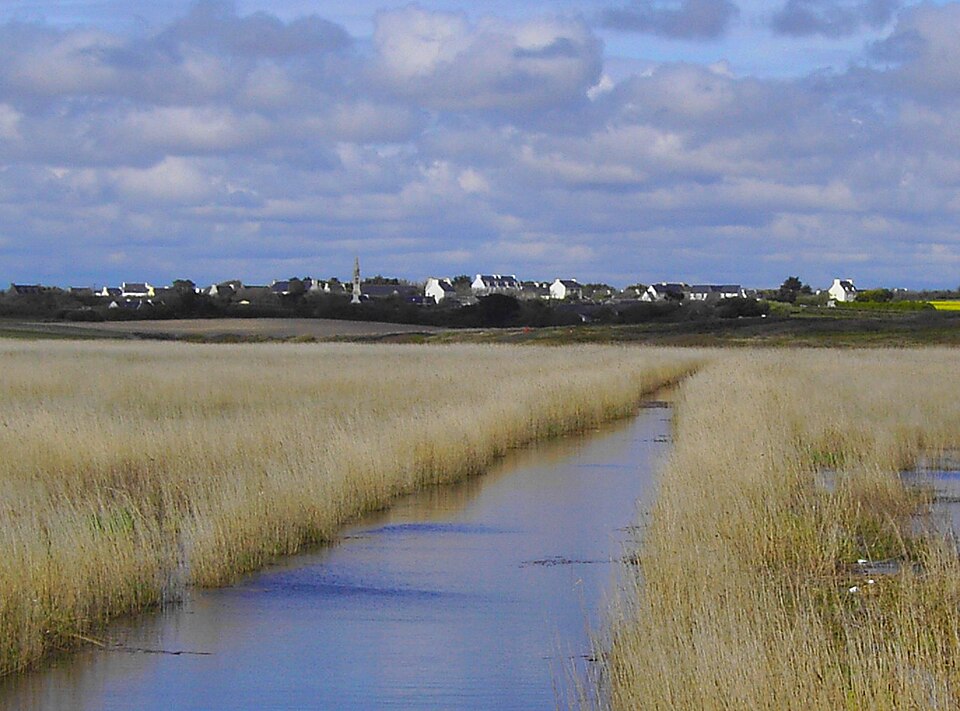 Plovan01