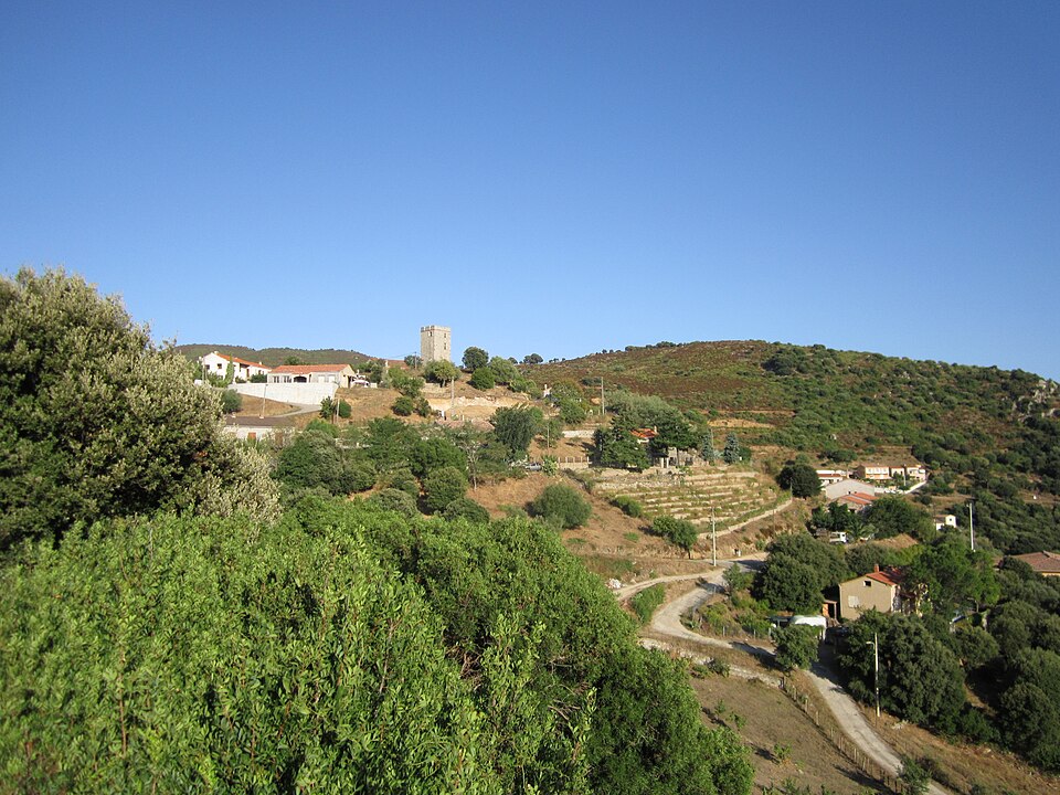 Arbellara 02