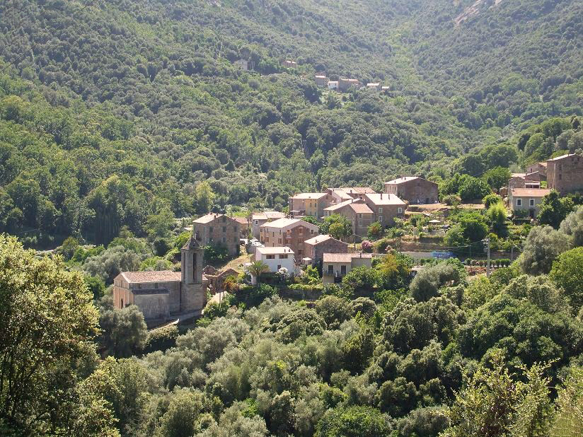 Arbori — Leca Maria anghjula