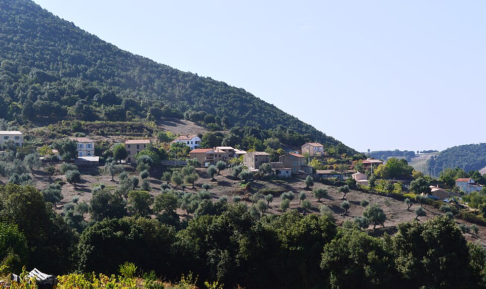 Arro Village