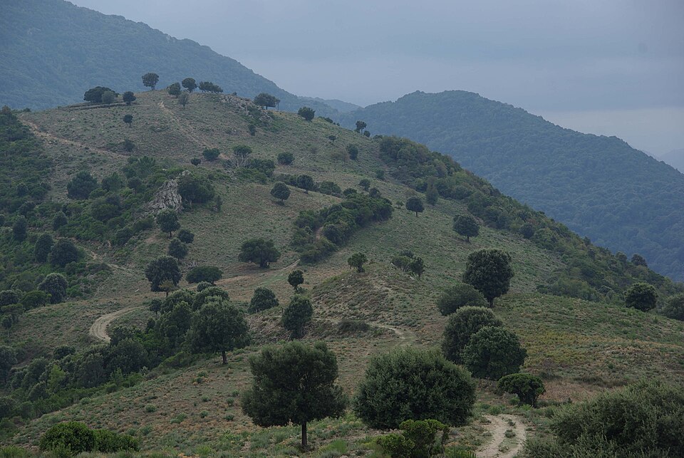 Corse, Parc naturel régional de Corse, vallée du Rizzanese, Sorbollano, le Ranch