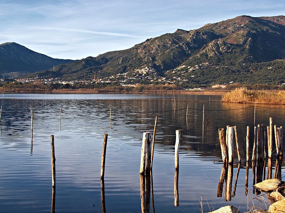 Biguglia — Etang — 3