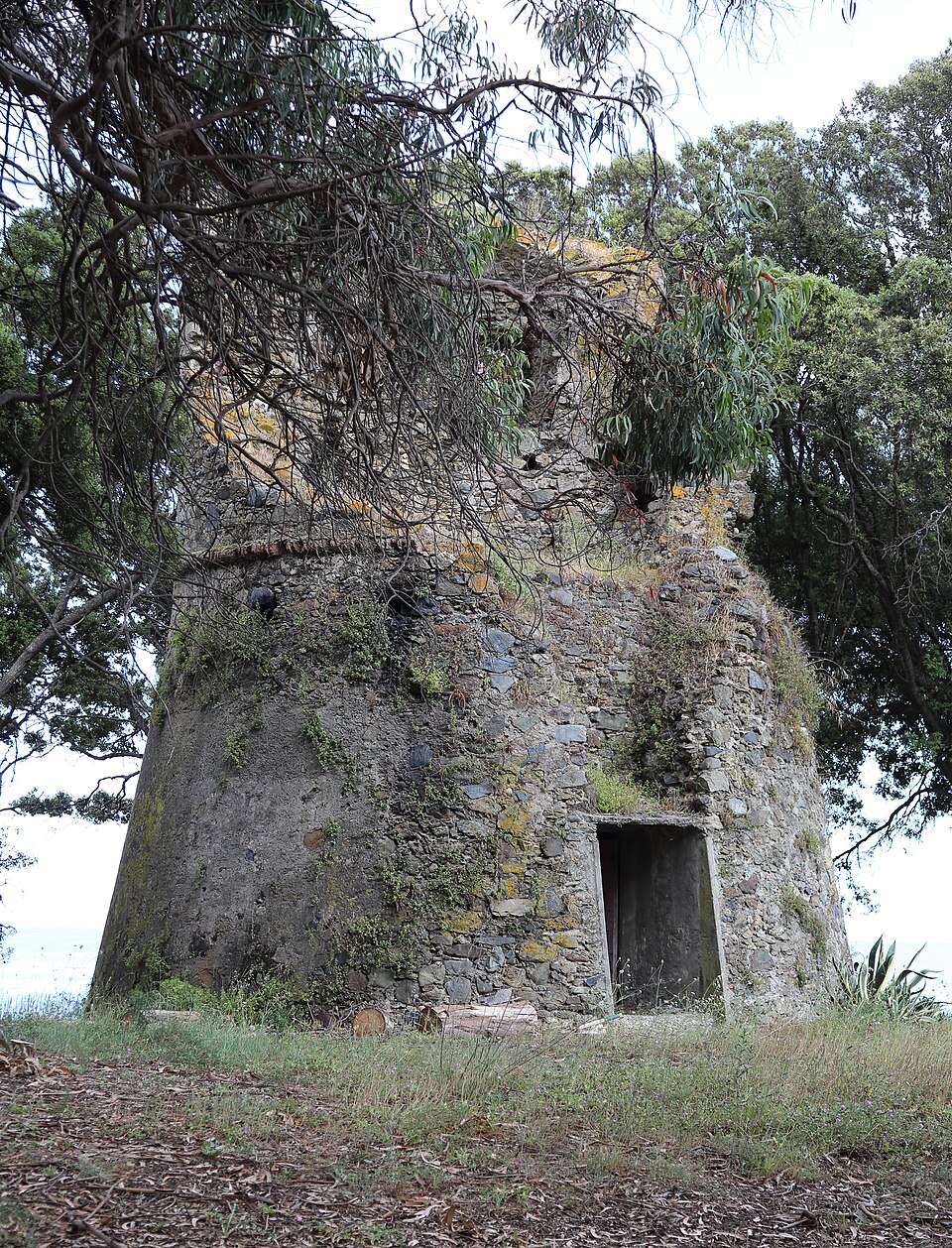 Tour d'Alistro — Corsica