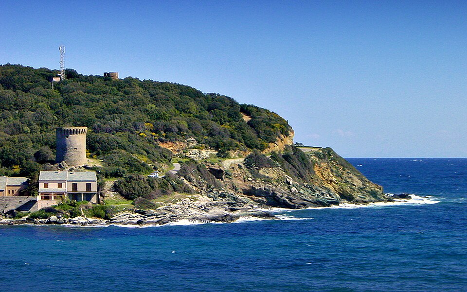 Meria Tour génoise