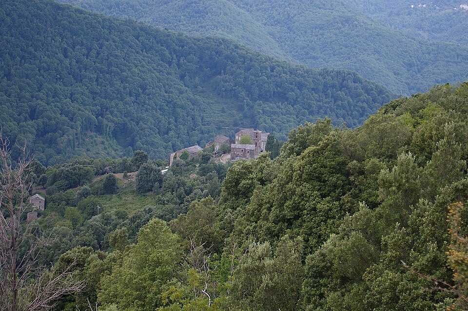 Monacia d'Orezza