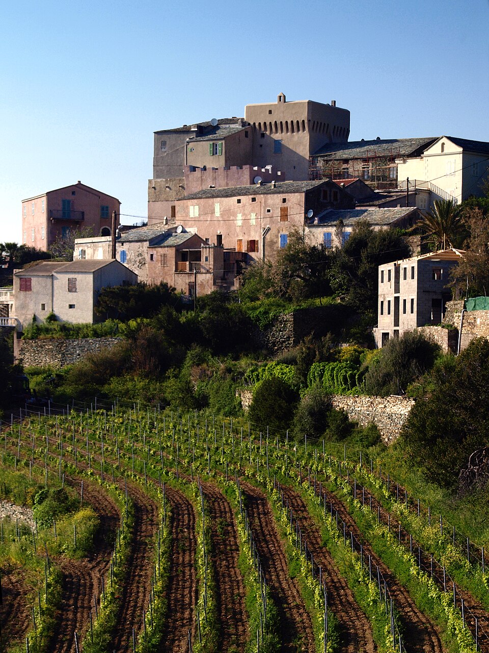 Morsiglia — Pecorile — 4