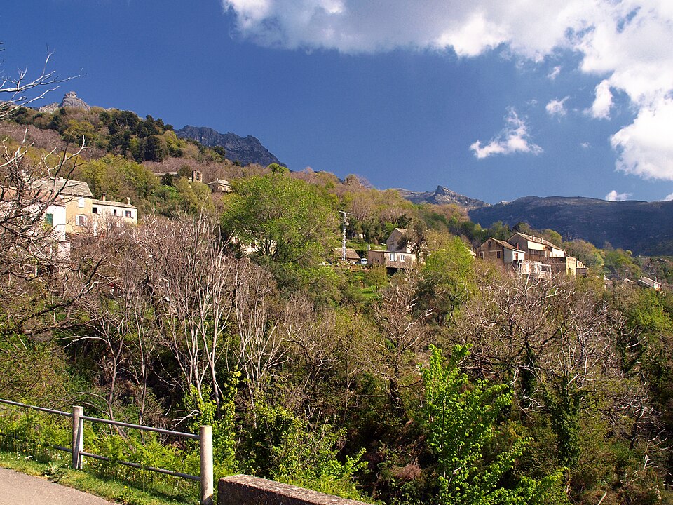 Olcani — Ferragini