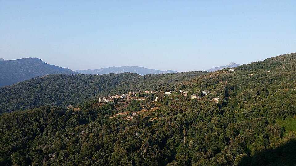 Porri di Casinca