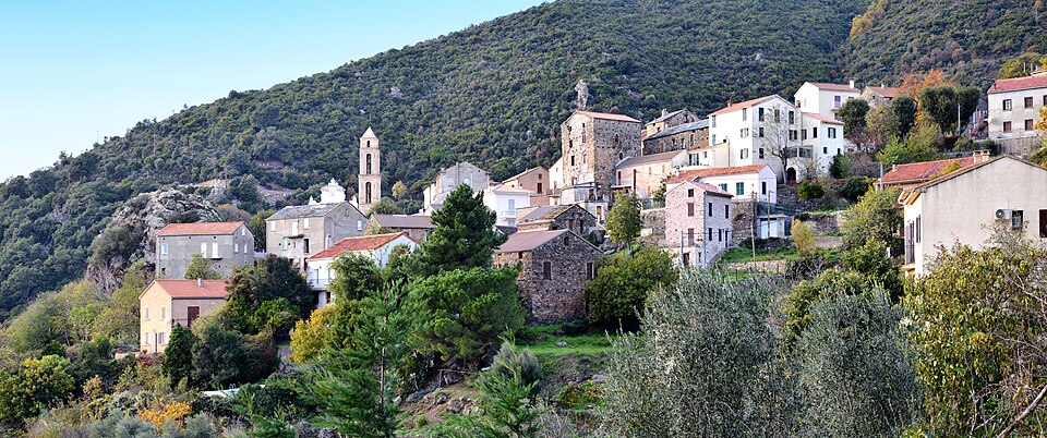 Tox panorama