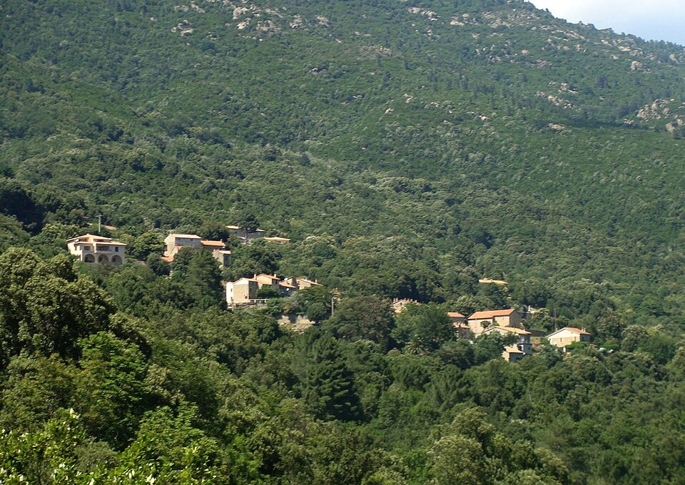 Chisa — village