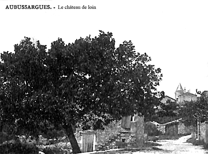 Château d'Aubussargues (Gard)