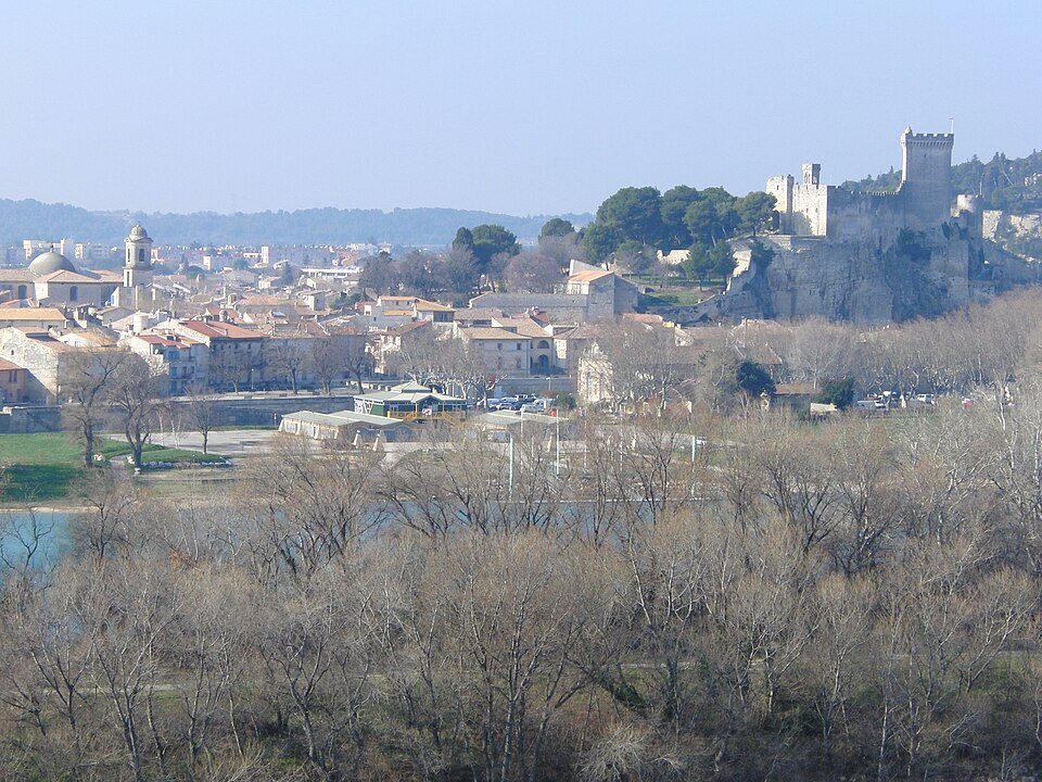 Beaucaire vue