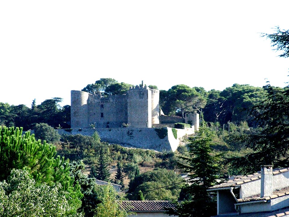 Boissières — Chateau 4036
