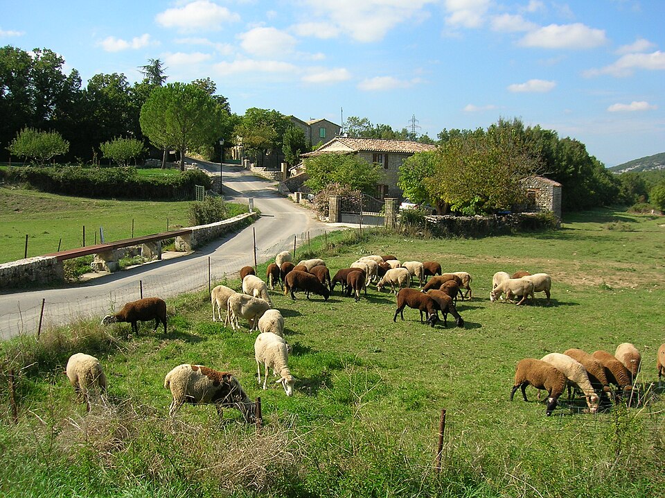 Village Gard
