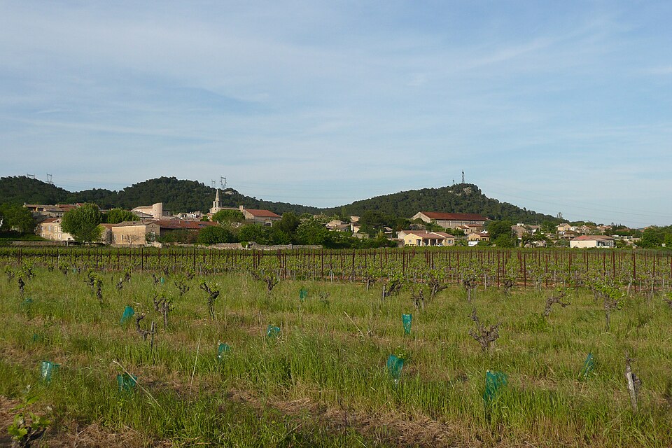 Vue d'ensemble de Saint — Gervais (Gard)