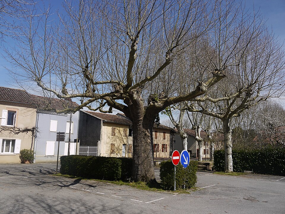Anan — Village 2
