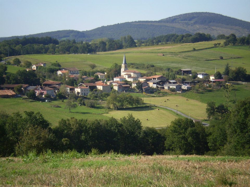 Escoulis