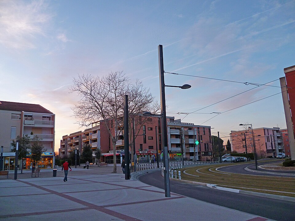 Blagnac — Avenue des Pins — 20101231 (1)
