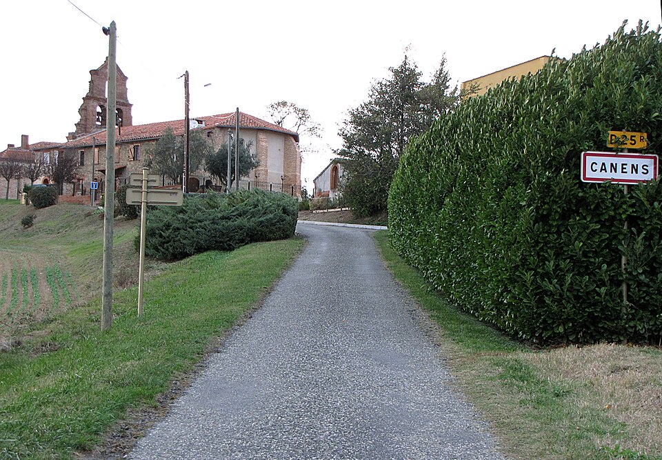 Canens