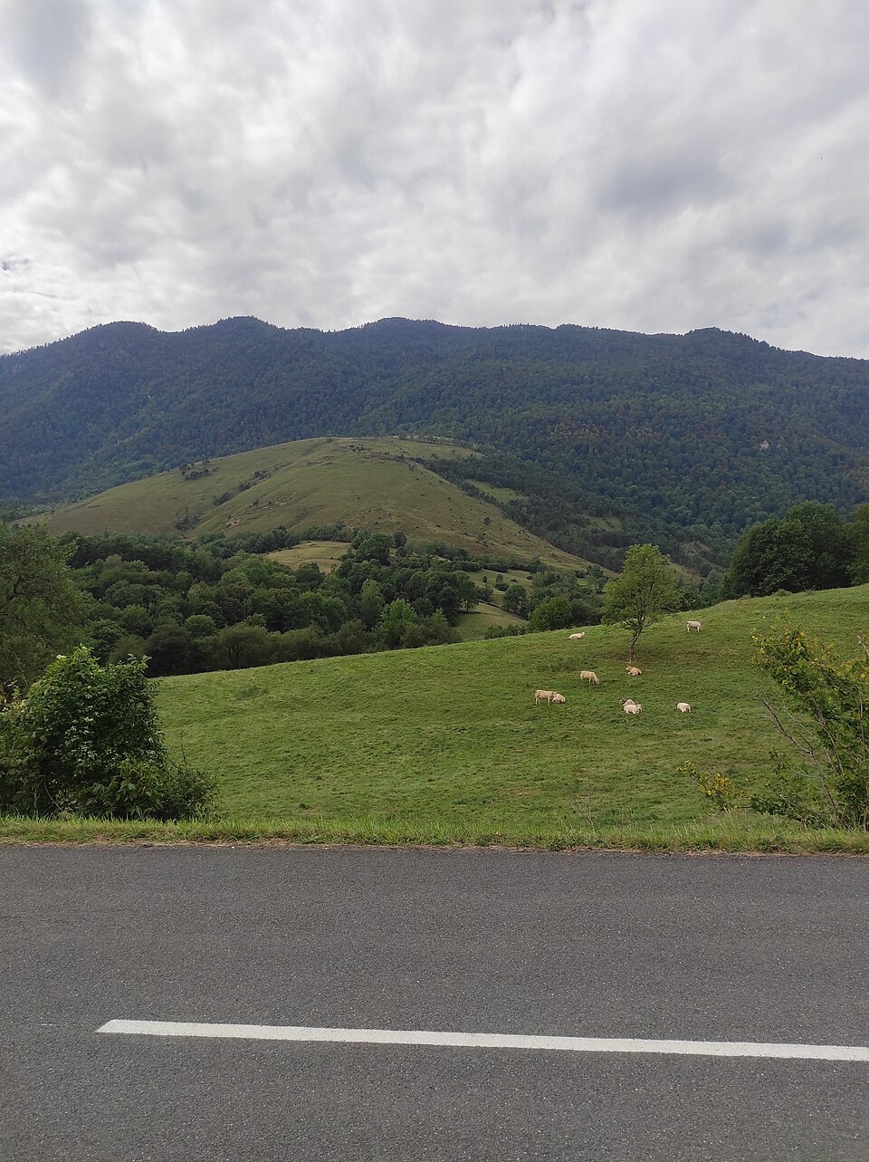 Col — des — Ares — 3