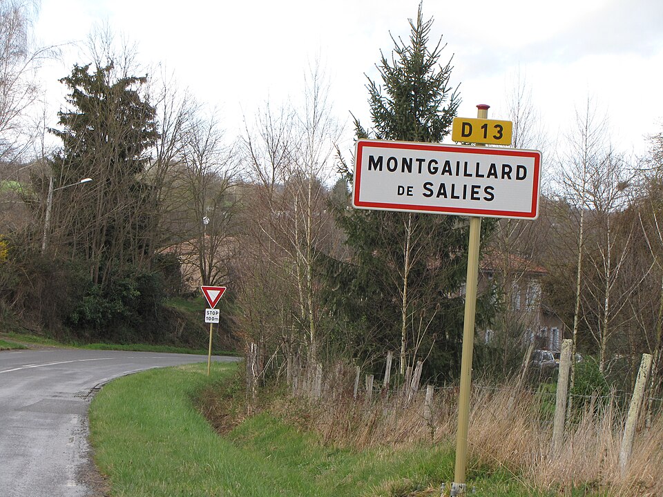 Montgaillard — de — Salies