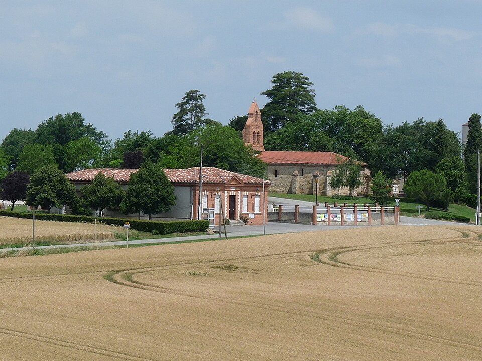 Prunet31 vue1