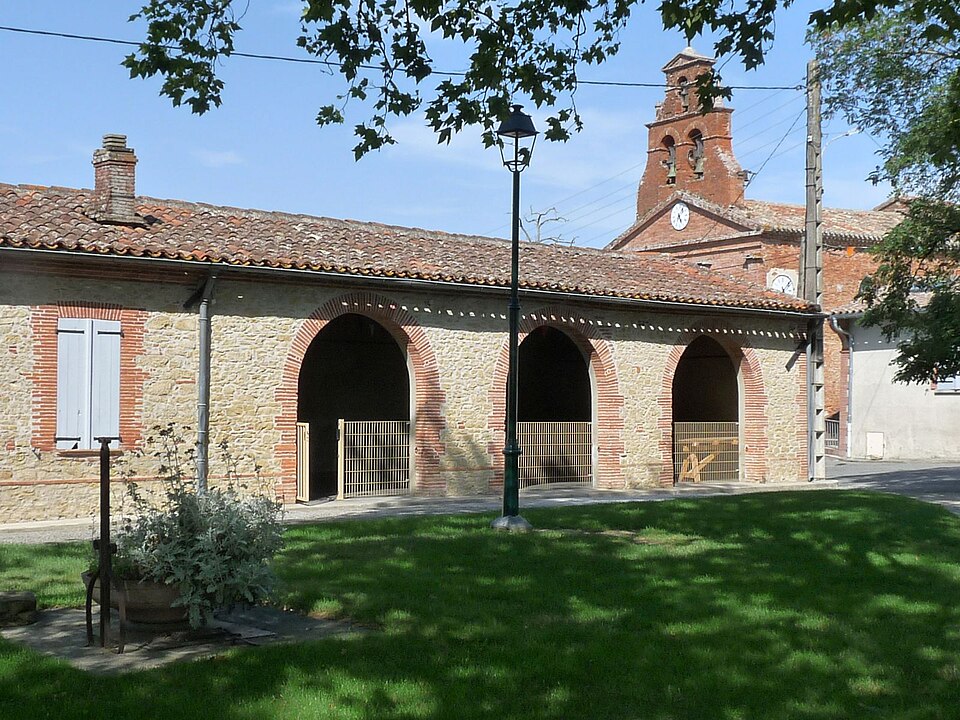 Vieillevigne31 sf