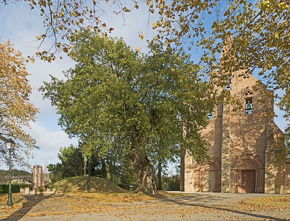 Villariès chêne de Sully