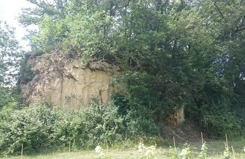 Bouzon — Gellenave — Motte féodale d’Esparsac