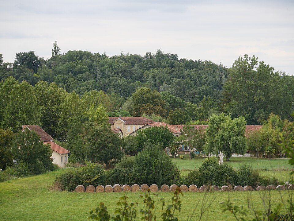 20240813 — Riguepeu — Vue générale