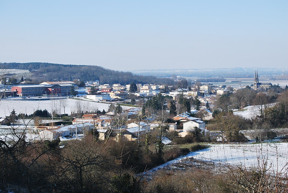 Panorama — Branne — Gironde XPommeret
