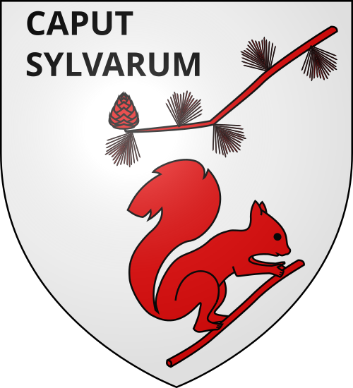 Blason de Captieux