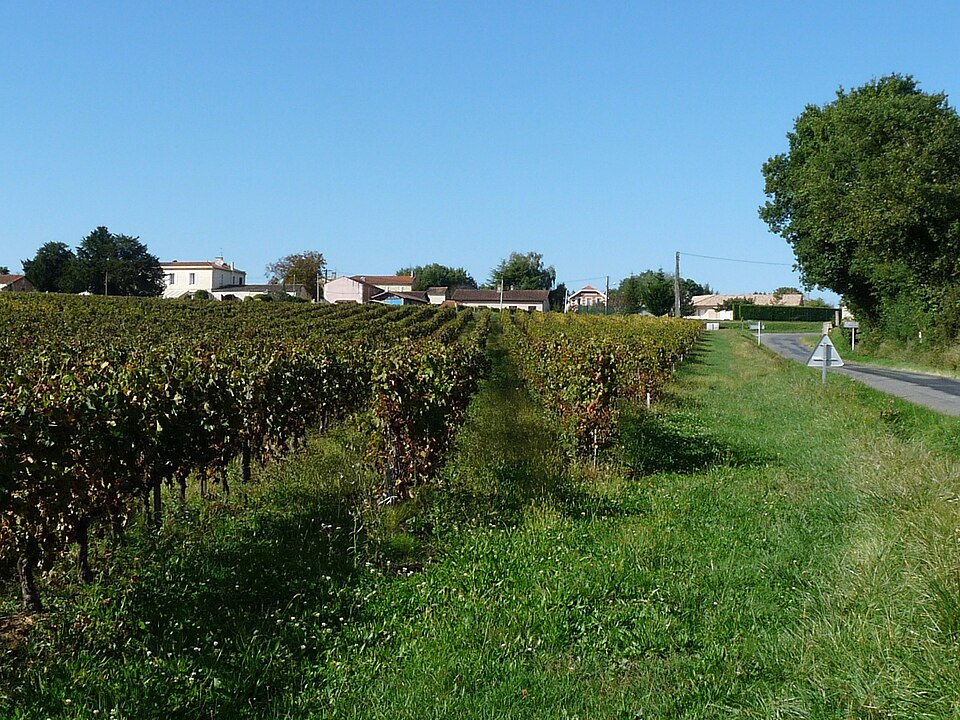 Stcierscanesse vue1