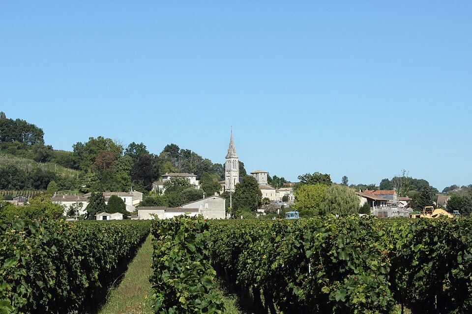 Vue du bourg de Saint — Michel de Fronsac depuis les vignes