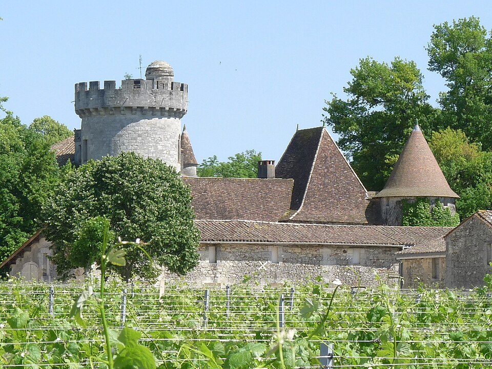 Savignacisle castle