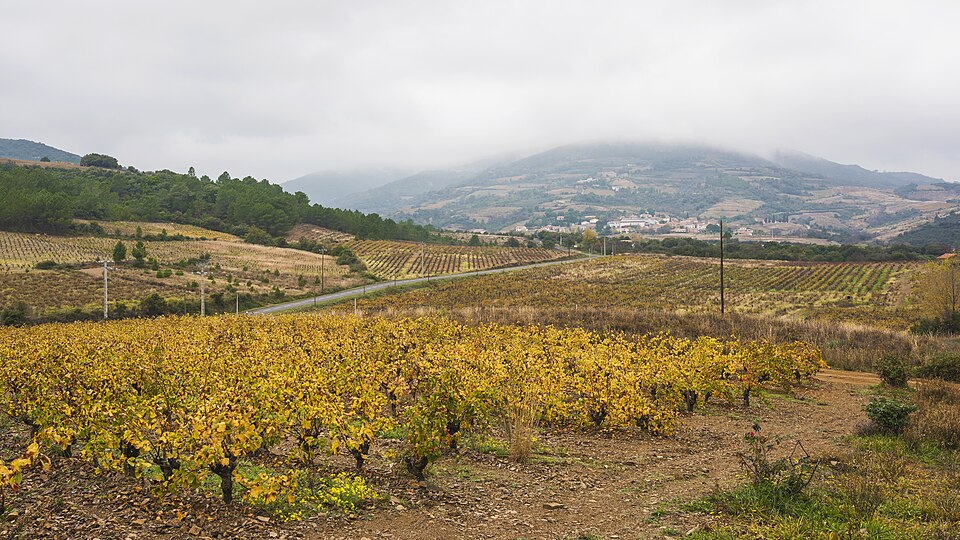 Berlou from Cessenon — sur — Orb 01