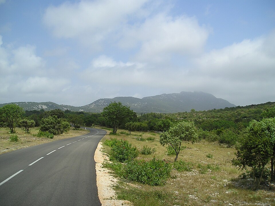 PicStLoup plaineSeuilles 23072009