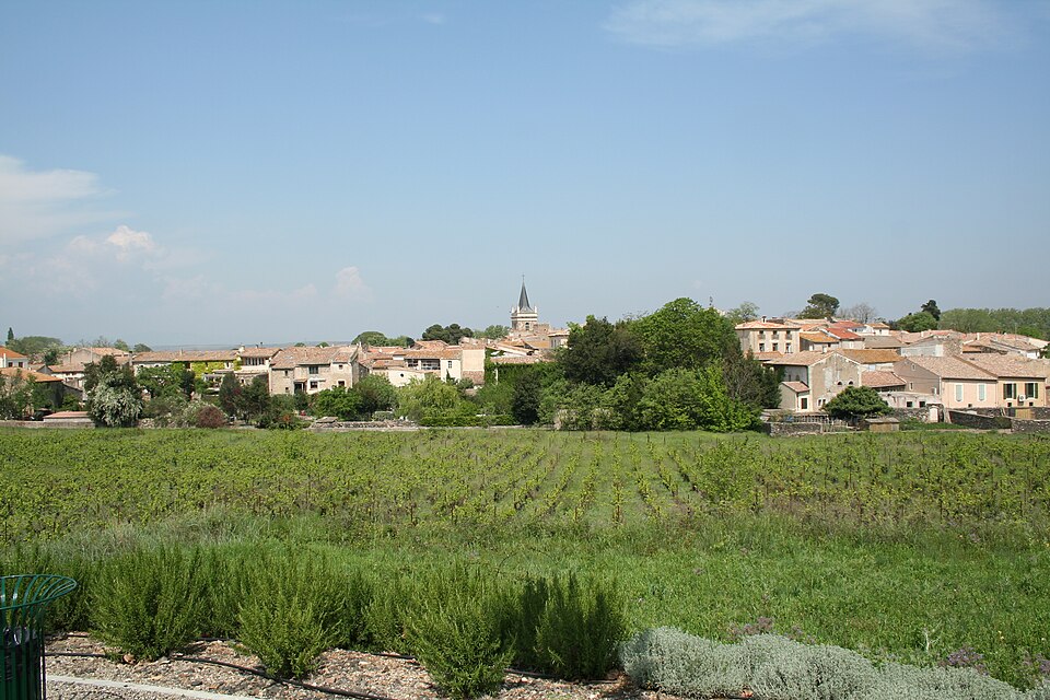 Nizas (Herault) vue generale