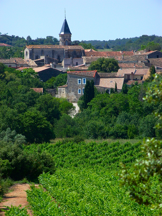 Photo Saint — Drézéry