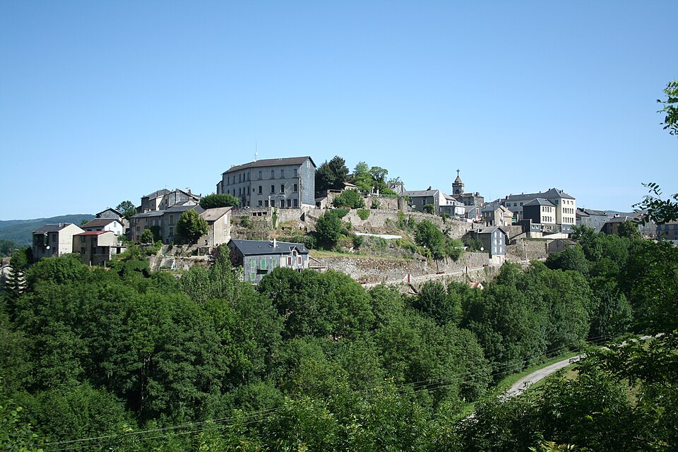 La Salvetat — sur — Agout vue generale