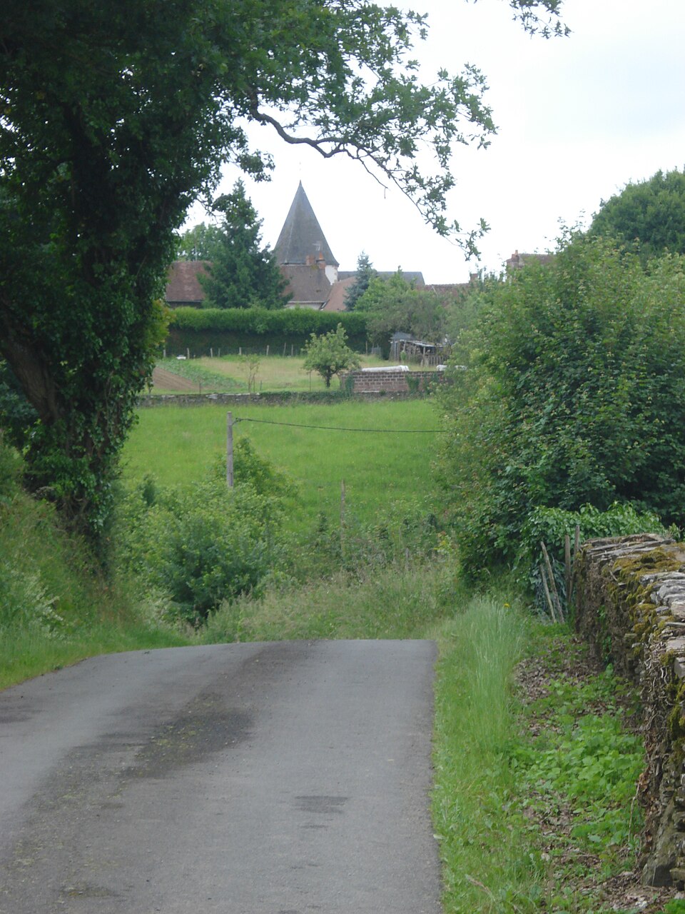Vue sur Cuzion (Indre, Fr)