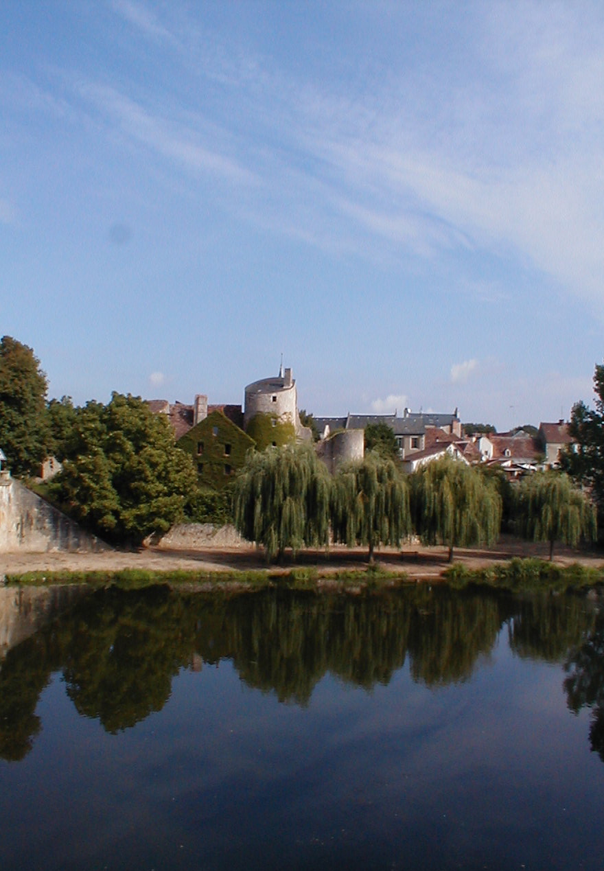 Chateau d'Ingrandes