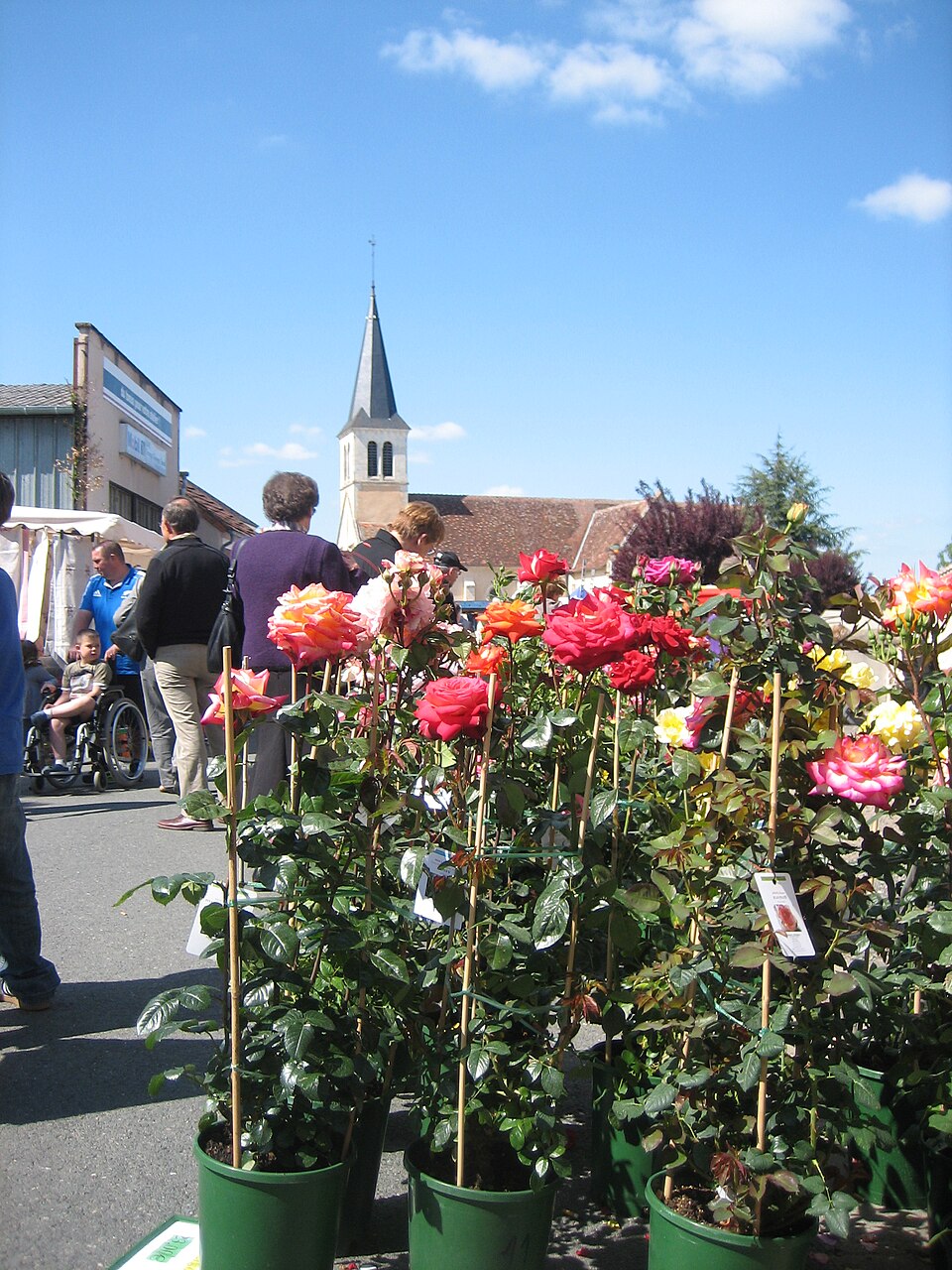 Mers sur Indre