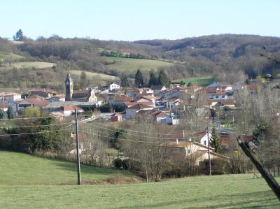 Cour Et Buis