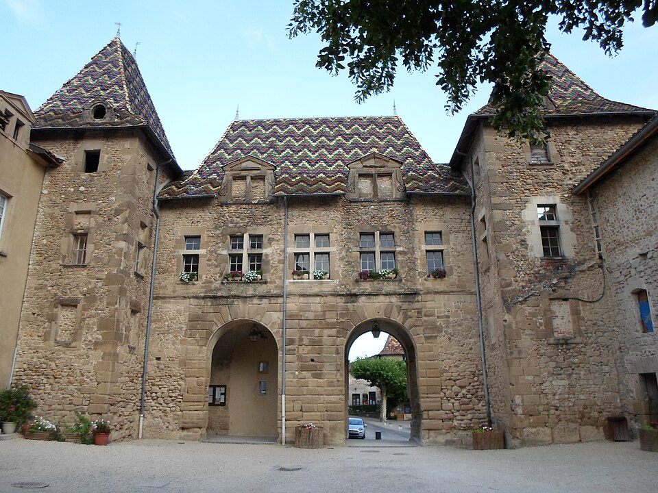 Hôtel de ville (toit vernissé) de Saint Antoine l Abbaye — monument historique PA00117247 — FRANCE — Alain Van den Hende — Licence CC 4 0 — 2070
